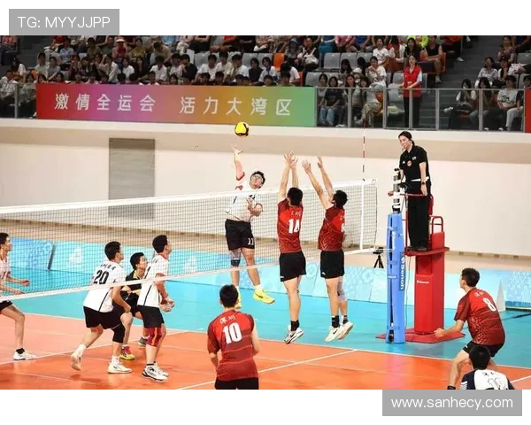 杭州排球队在城市联赛中的默契配合与战术分析